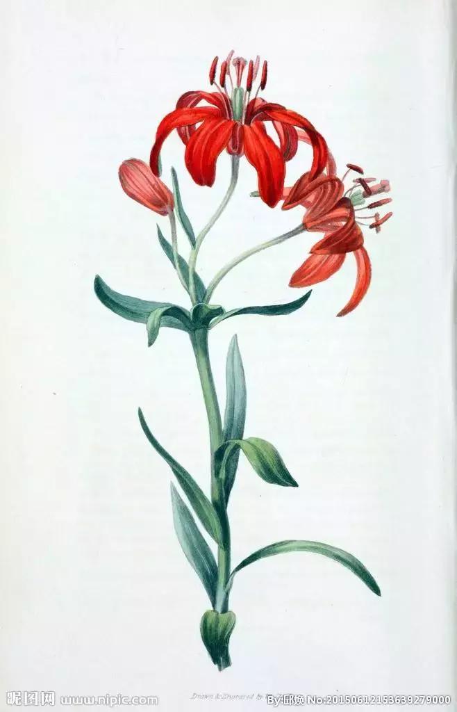 有趣的记字儿歌,形近字识字儿歌大全100首