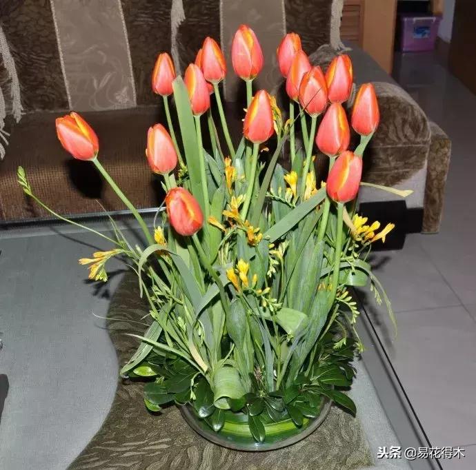 郁金香的种植方法及养护,郁金香养护方法及注意事项