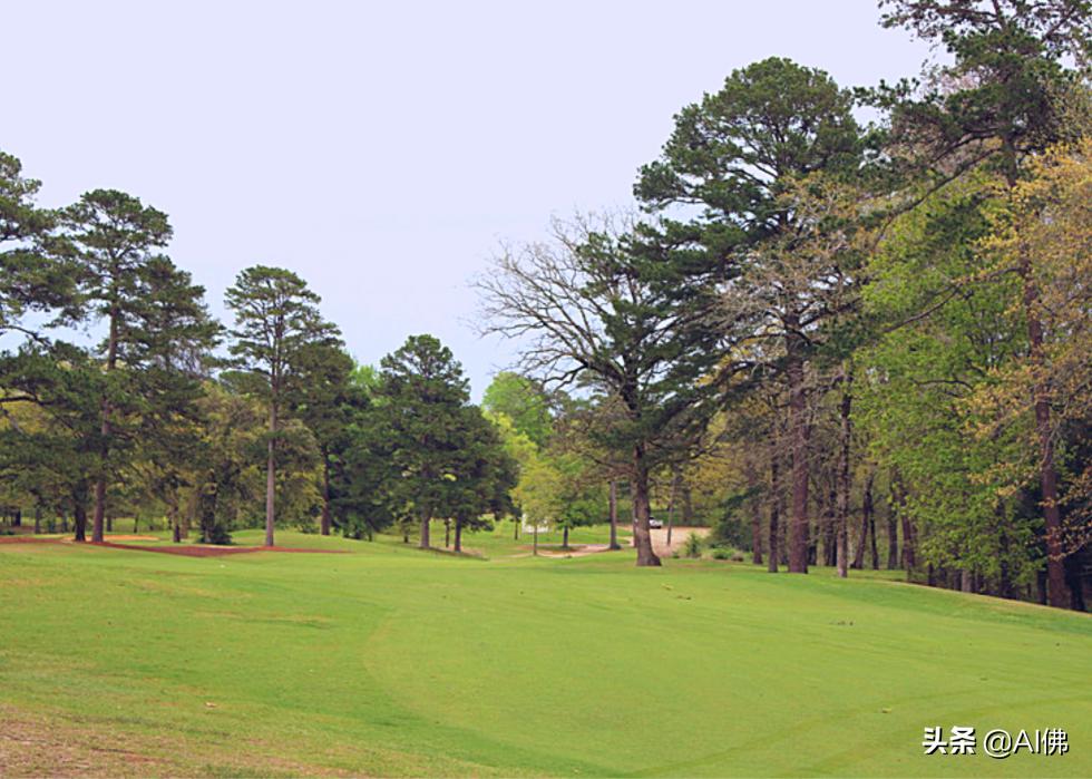 美国圆石滩高尔夫球场,美国高尔夫球场数量