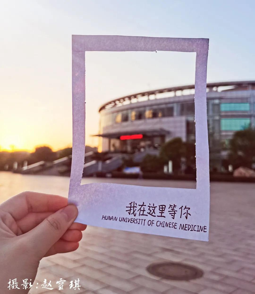 中医药文创设计大赛方案,中医药产品设计大赛作品