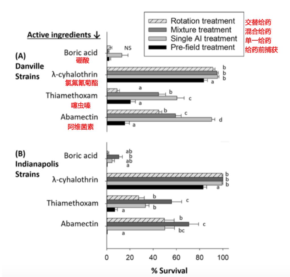 你家的蟑螂再狡猾也躲不过这一招,有没有什么解决蟑螂的小妙招