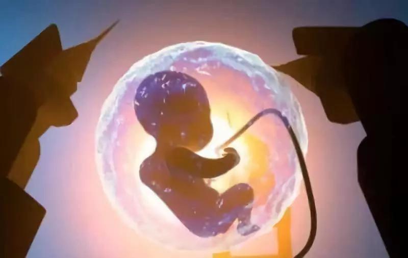 胎停育尿频的症状也会消失吗,胎停育症状有哪些表现