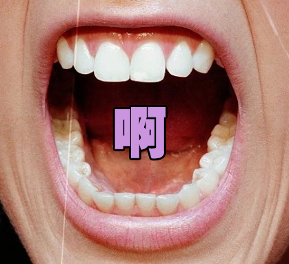 注会有什么途径学习,注会怎么学习才能通过