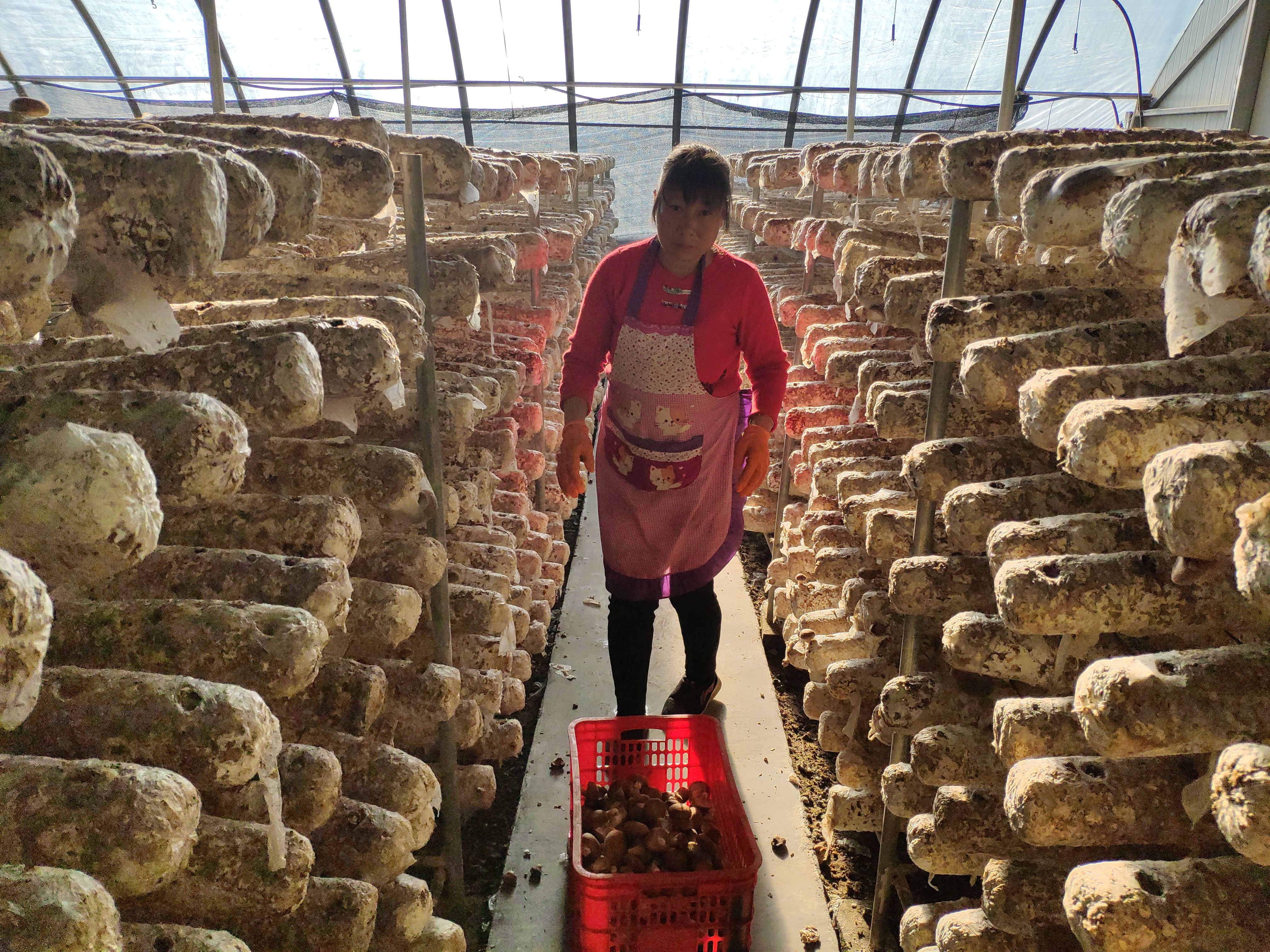 回望脱贫路⑧丨八年之后曾经的国家级贫困县阜平什么样了？