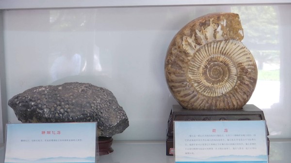 地学科普,地学科普基地