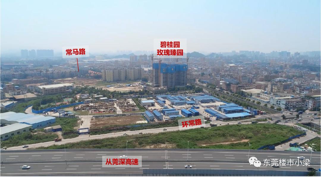 东莞市碧桂园玫瑰臻园,疫情后楼盘首开