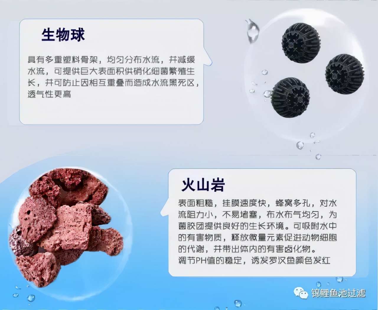 养锦鲤用过滤桶过滤系统,锦鲤鱼池沼泽过滤与生物过滤