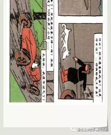 丁丁和丁丁历险记论文,丁丁历险记丁丁的服装