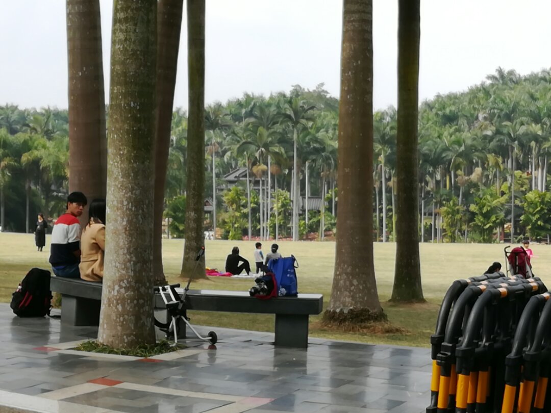 青秀山奇幻之旅,南宁2022奇妙之旅