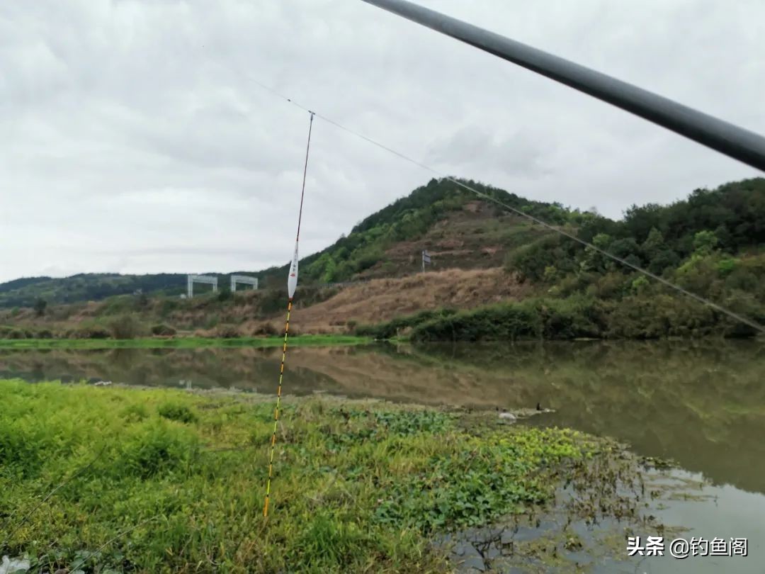 如何正确的选择浮漂,如何选择合适的浮漂