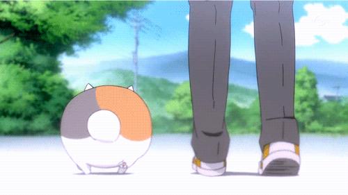 经期可以只吃水果吗,经期可以尽情的吃吗