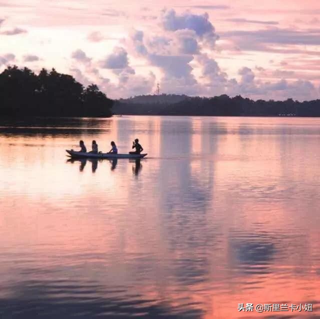 这座隐居别墅，上过设计杂志得过奖，是一位低调女主人的私宅