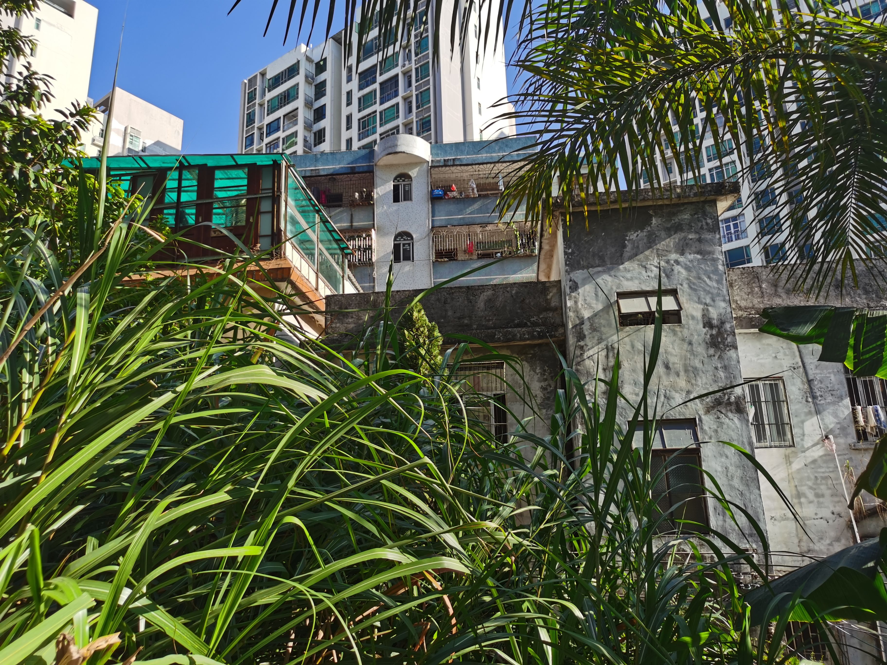 华为nova65g版和荣耀v30区别,华为nova65g版对比荣耀v30pro