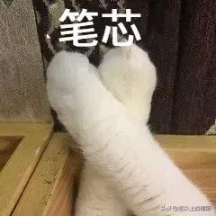 月入三千打工人的生活信阳,月薪不到五千的心酸