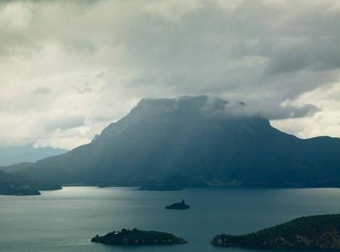 只有行动才能收获真正的成功,只有行动才能收获成功