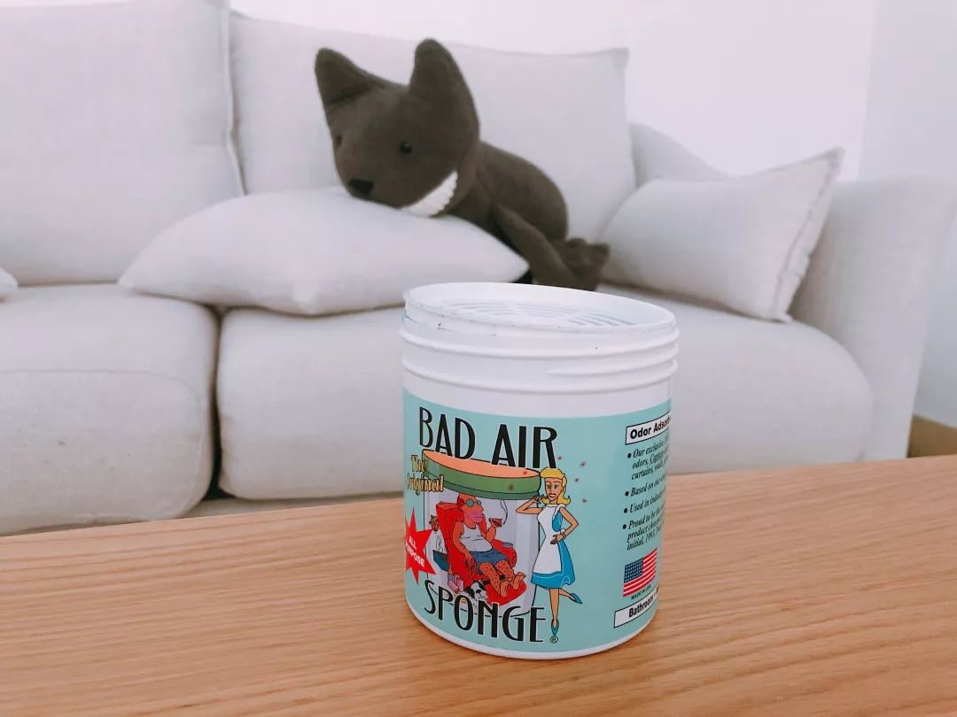 德国十大品牌的空气净化器,大自然的空气净化器