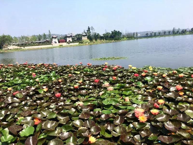 港青旅港澳游报团攻略,韩城青岛旅游团推荐