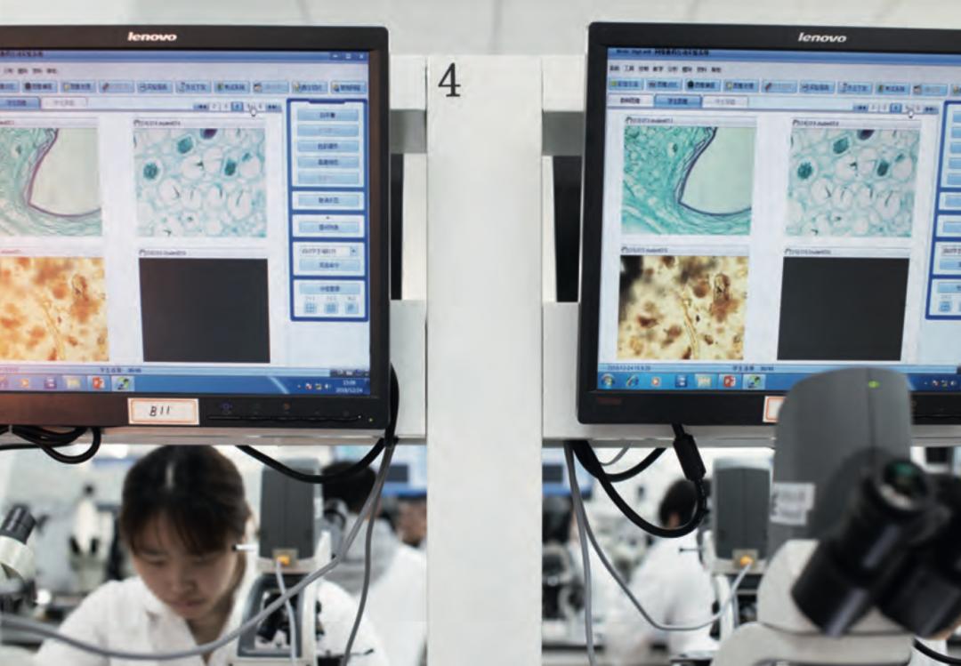 中医让人不相信的药材,难以接受的中药药材