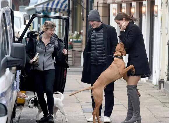 宠物狗喜欢咬东西怎么办视频,宠物狗喜欢咬手怎么办