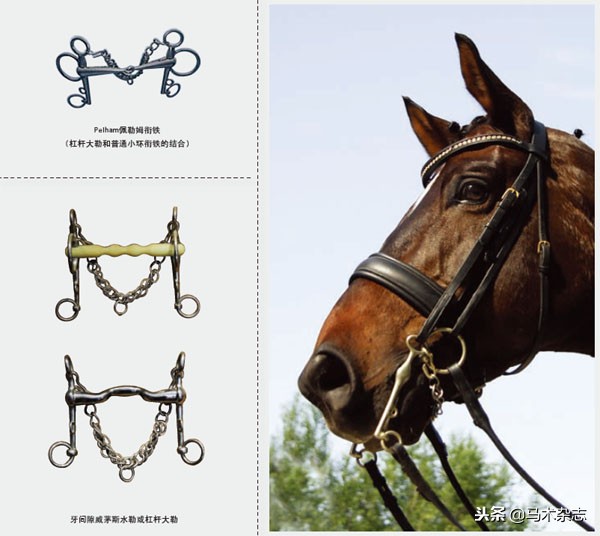 充满智慧的衔铁！马身上的装备越少，说明骑手的骑术越高
