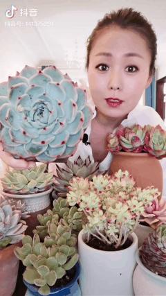 沉迷“花花世界”的41岁妈妈什么样?