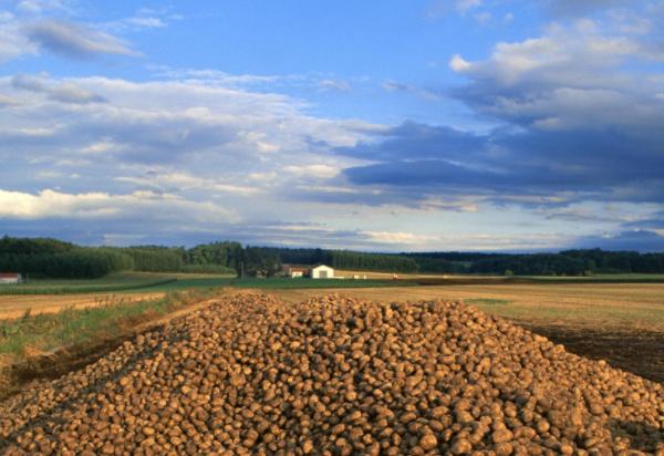 土地流转贷款怎么申请,土地抵押贷款一亩地能贷多少钱