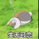 留学生的孤独等级大测评,留学生异国恋的心酸