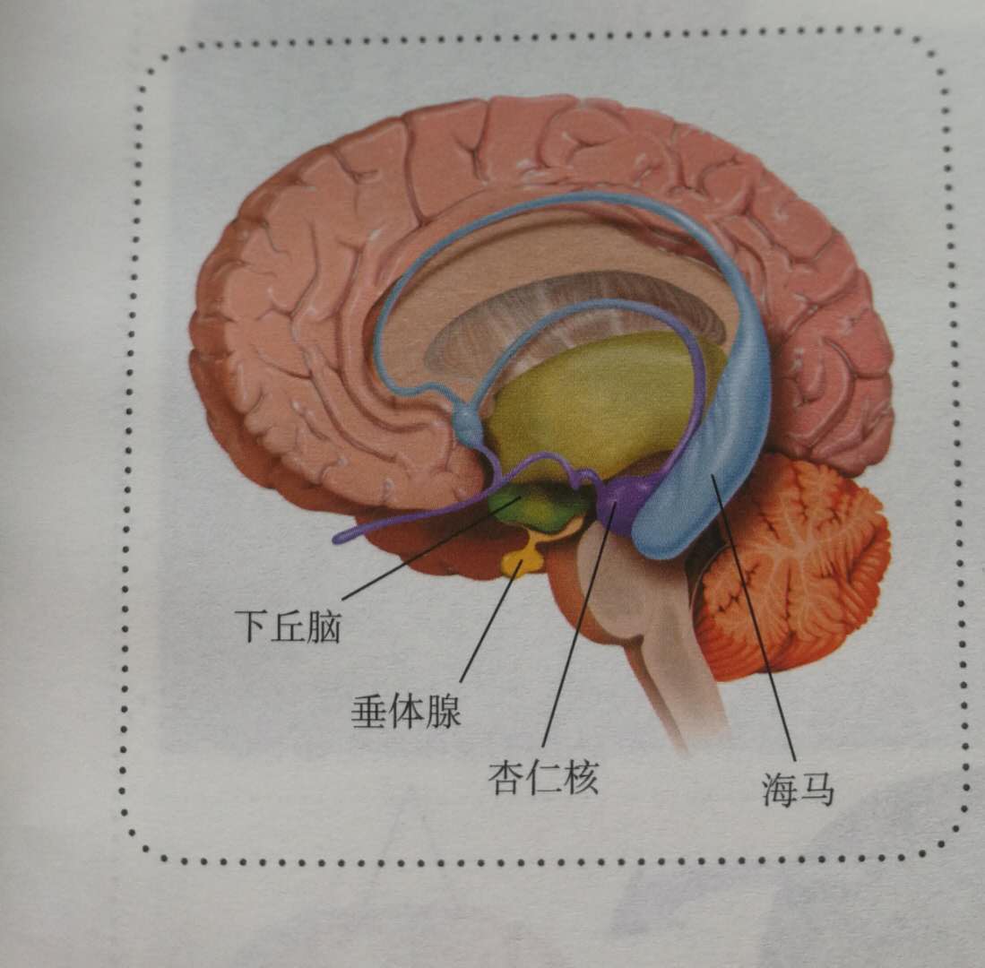 压力太大情绪失控怎么办,压力大的情绪低落该怎么办