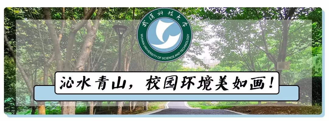 武汉科技大学名校,武汉科技大学推荐