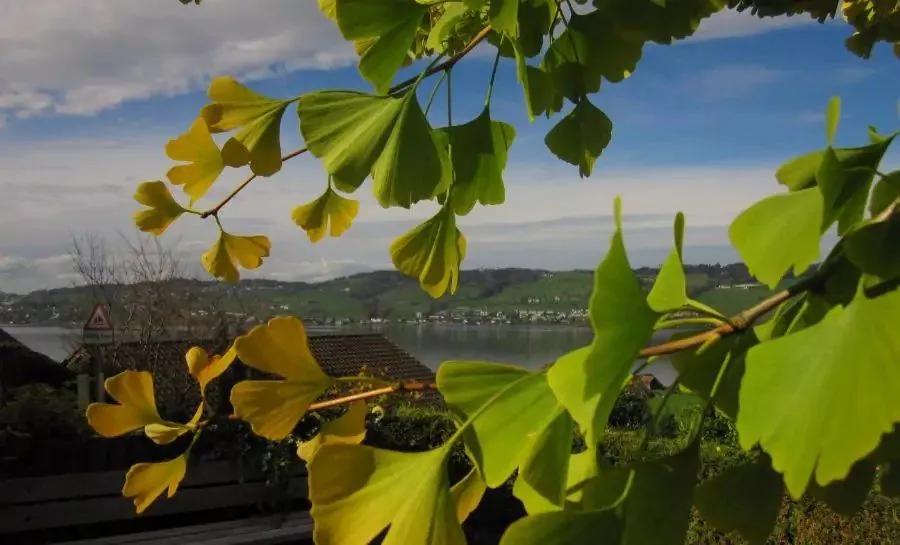 无聊时做这三件事你会越来越好,无聊时要做的十件事