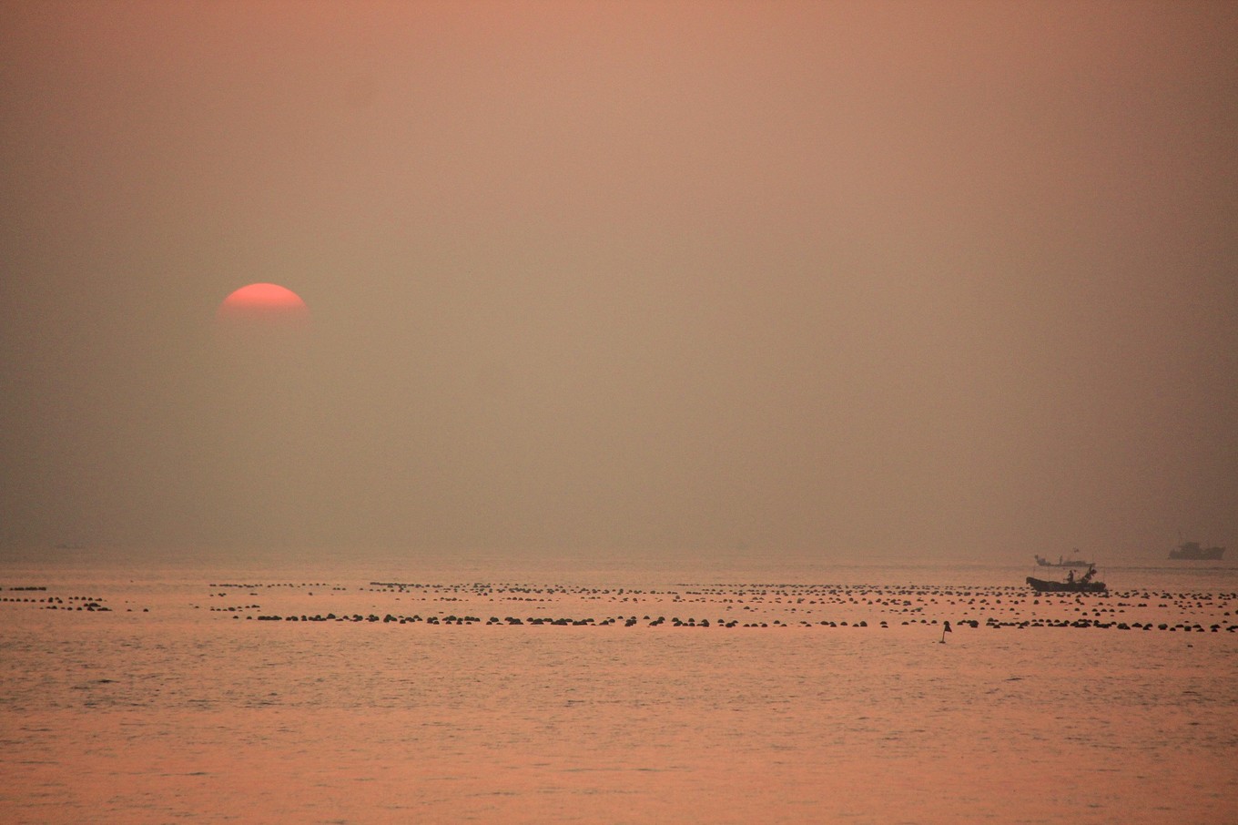 南澳岛看海完整版,南澳岛看海解读