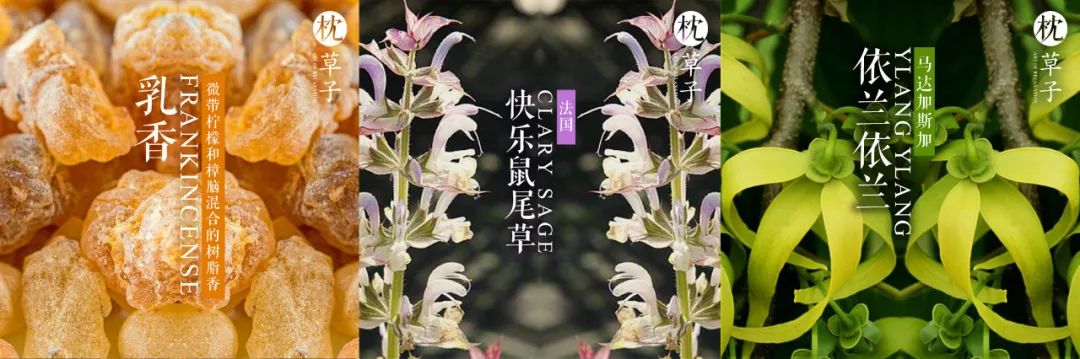 为什么精油可以丰山根,精油为什么可以淡化细纹