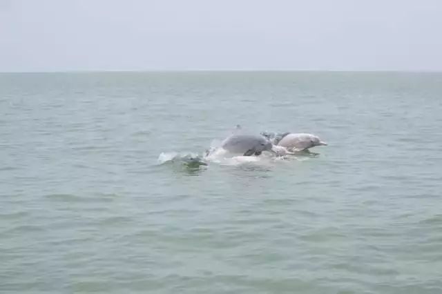 台山颐和温泉酒店私人泡池,台山颐和温泉酒店特价