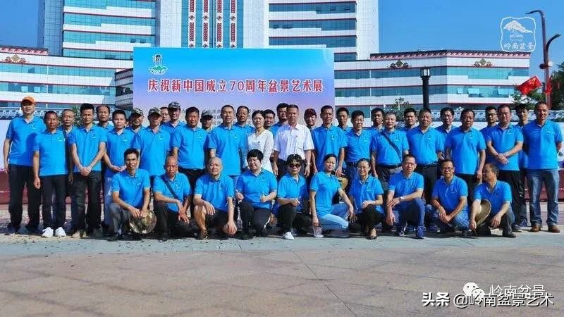 广东的盆景有哪些,适合广东玩的盆景