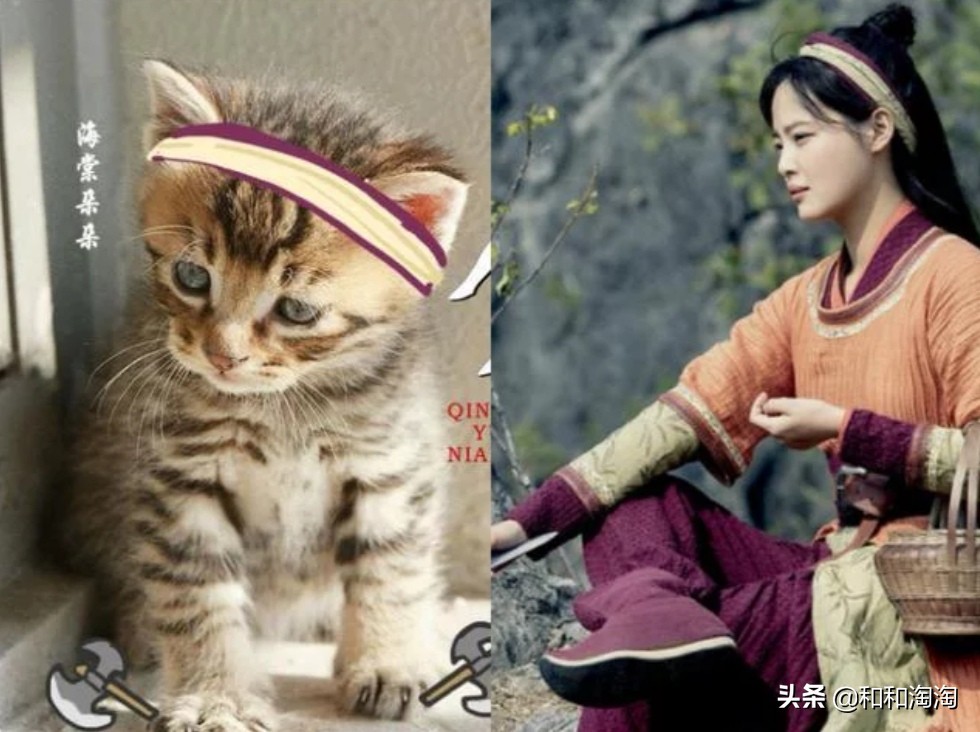 庆余年羊驼搞笑,庆余年动物搞笑图片