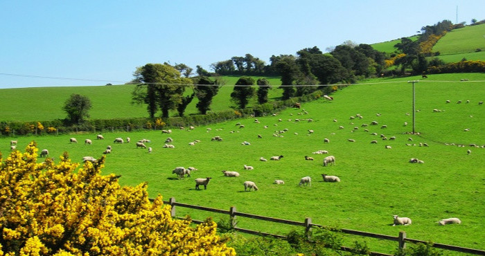 欧洲销量第一的奶粉，到底值不值得买？