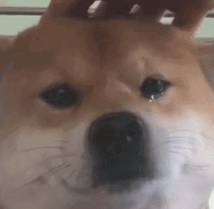 酱大骨怎么做软烂入味,酱大骨怎么做又脆又香