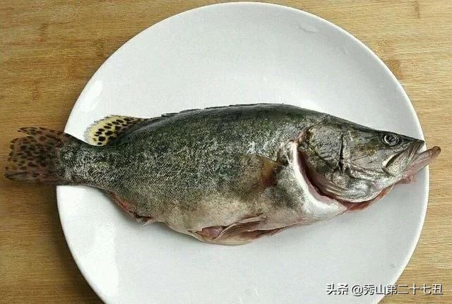 去菜市场买什么淡水鱼好,市场能买到的五大淡水鱼