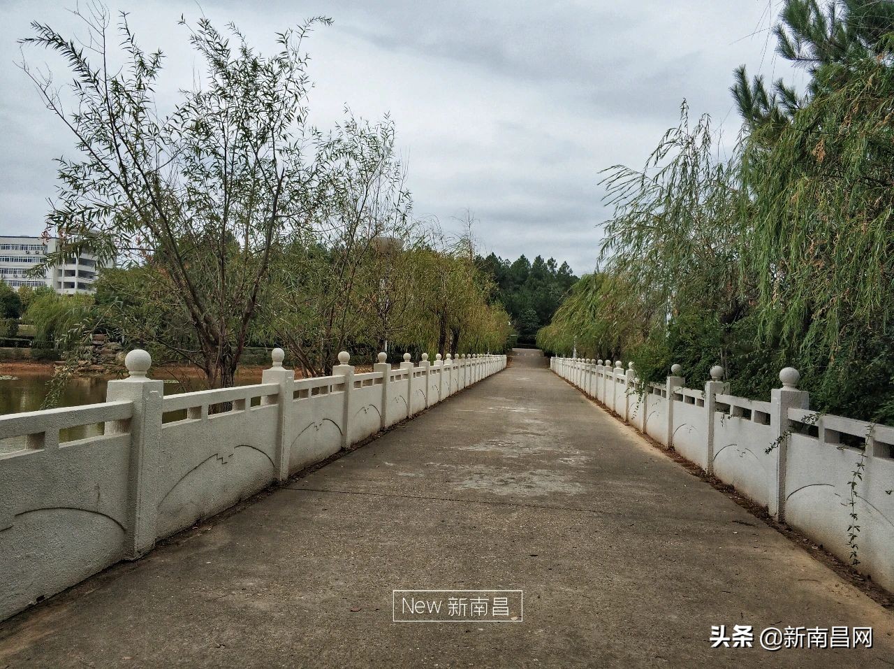 江西中医药大学回忆,现在的江西中医药大学
