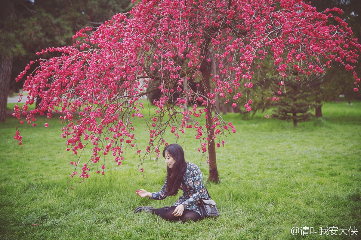春夏莱芒湖旅游攻略,日内瓦莱芒湖