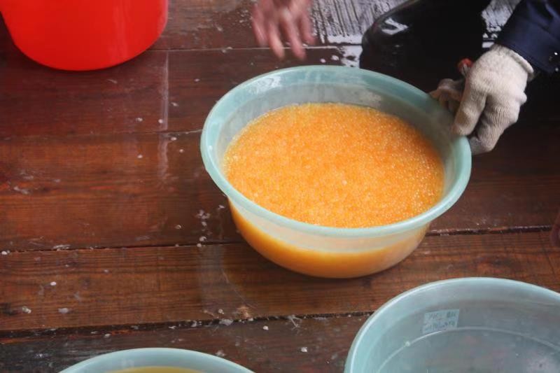 鱼类繁殖洄游,鱼类繁殖原理