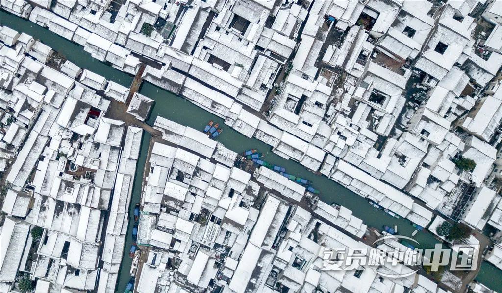 美丽中国中国篇,美丽中国双碳有我主题范文800字