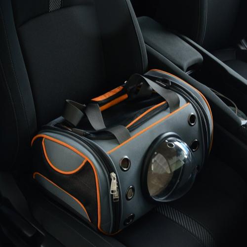 猫咪进猫包训练,如何训练猫咪进猫包