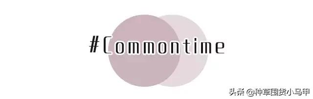 专柜卖假货,卖假货到底该不该硬气回应