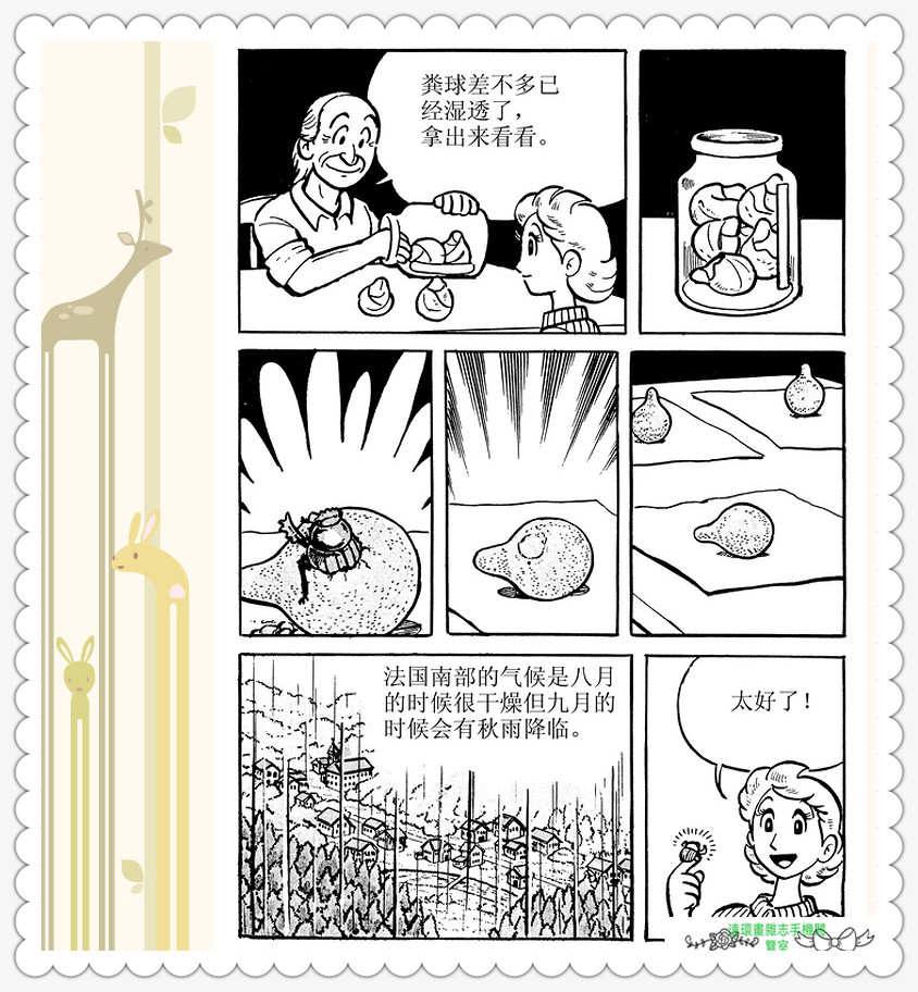 昆虫记法布尔动画片,昆虫记法布尔全套