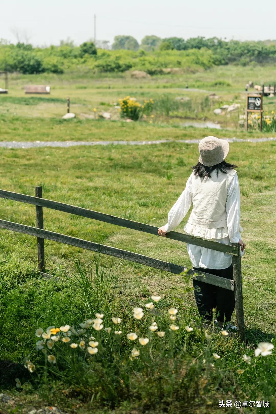 戛纳即将闭幕！但这座美得像电影海报的小镇不能错过