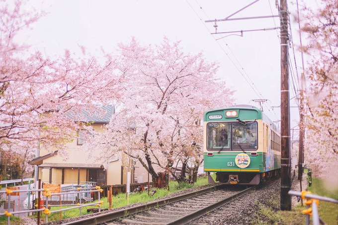 玩转日本交通篇,日本出行交通攻略