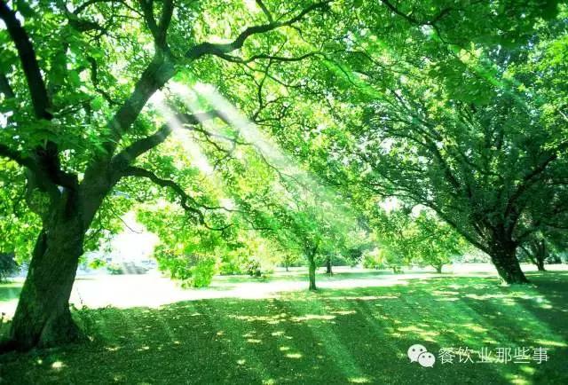 乔家面馆创始人管毅宏,管毅宏董事长