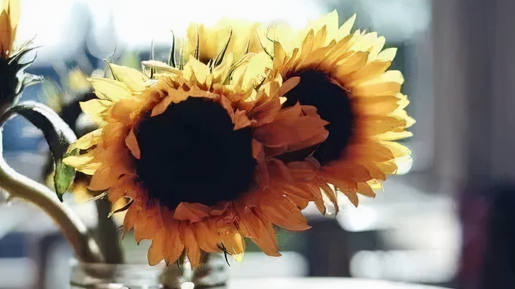 愿父亲在天堂没有疾苦,写给我的父亲