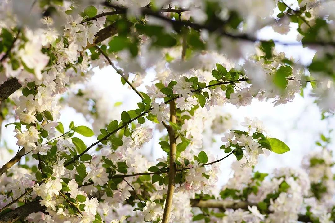 交作业啦！转接环大作战，战果展示第一章